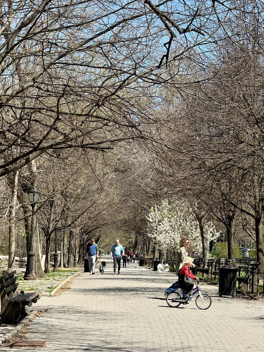 jmassengale's tweet image. Springing 
#RiversideDrive #NYC