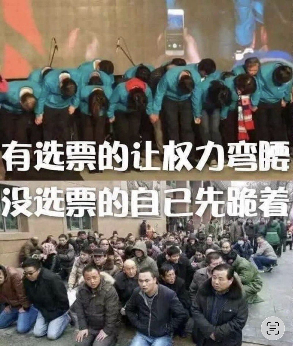 Fifty-five五十五 tweet media