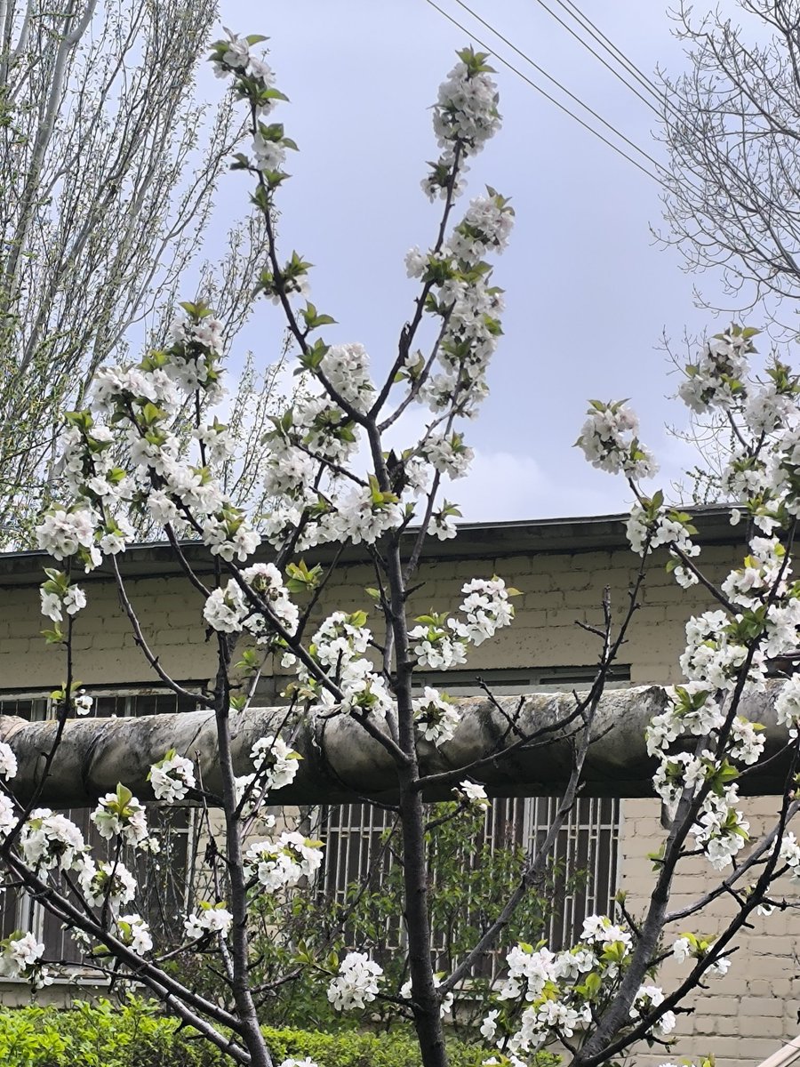 Dolltale tweet media