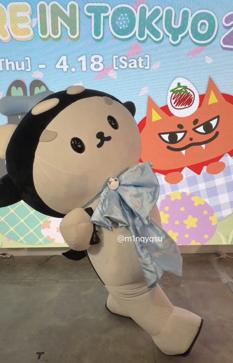 ラスカル🐱🐷❤️🩵🥦 tweet media