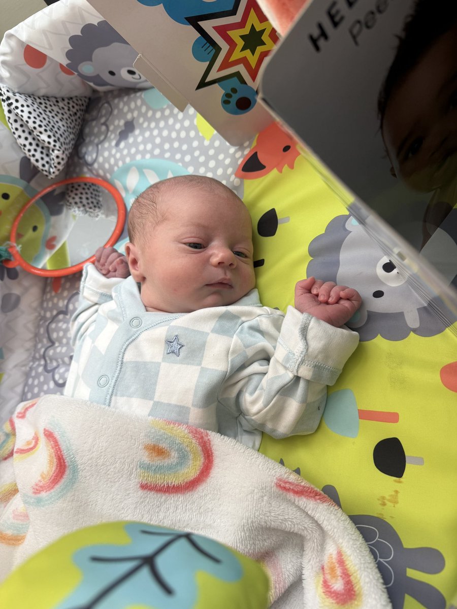 LauraBacon26's tweet photo. Born on Pompey’s birthday and we’ve not lost since 😉 https://t.co/KR10K0ks78