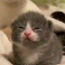 🥤PEAKadoni⛰️ tweet media