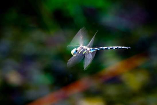 howie1★彡 tweet media