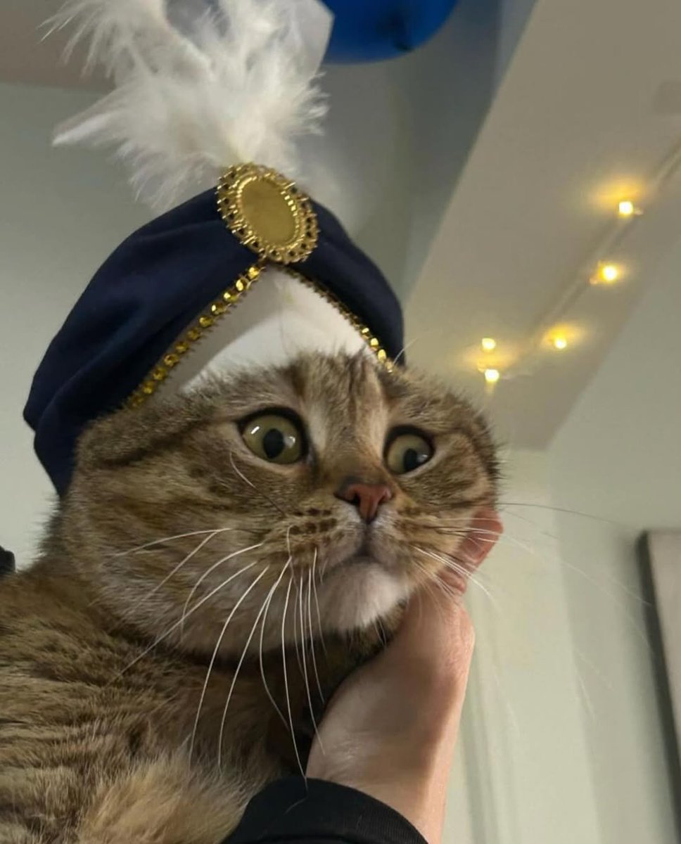 Boşuna Tıklama tweet media