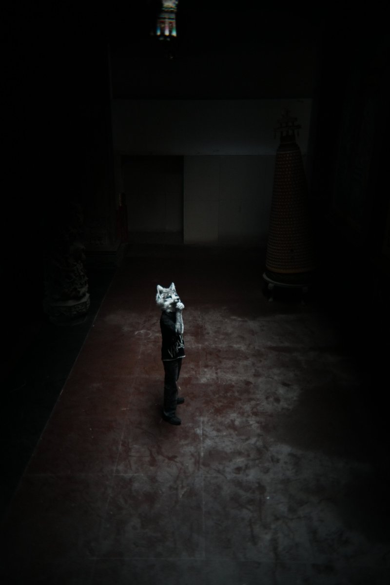 辛德勒🐾 ➡️ UTFG 2026 tweet media