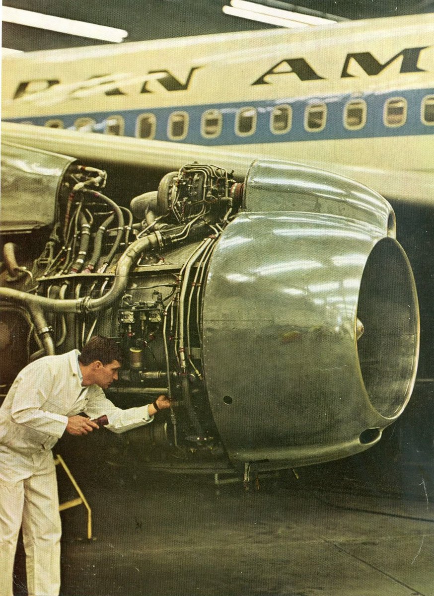 The Bull Moose Project tweet media