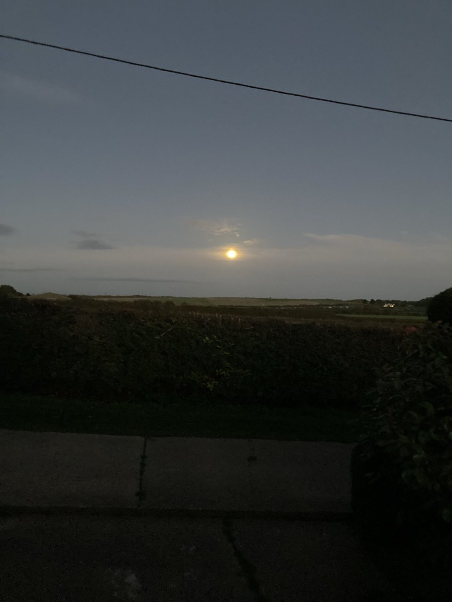 Steve Johnson tweet media