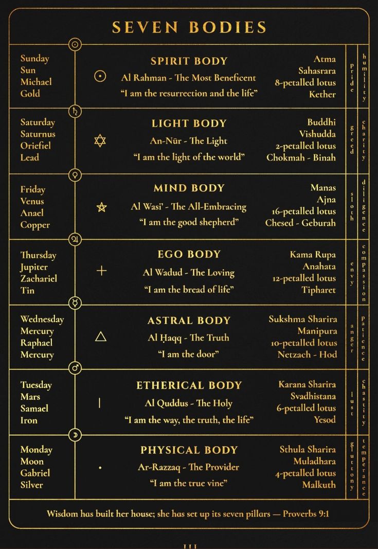 Water Monkey🐒 tweet media