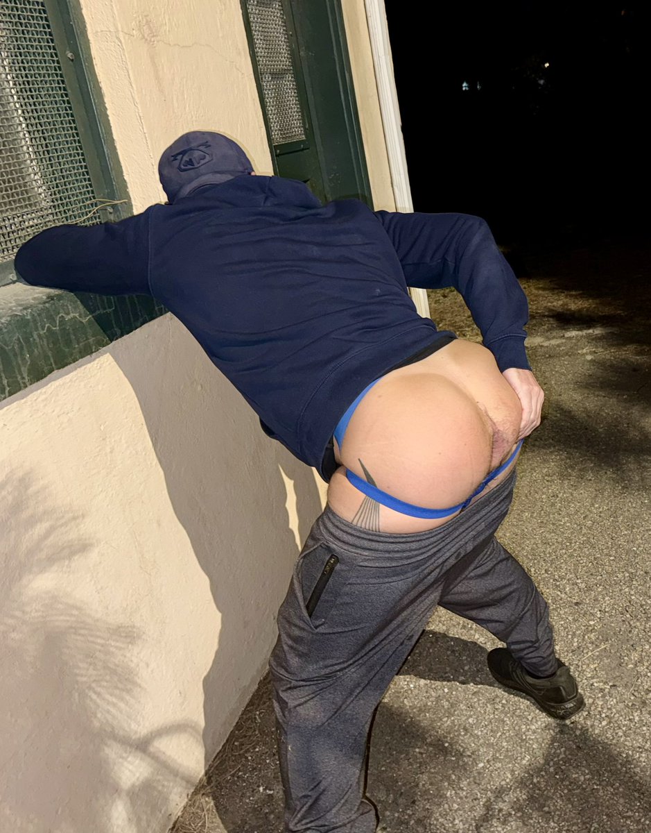 Pup Helios 🔜 Darklands tweet media