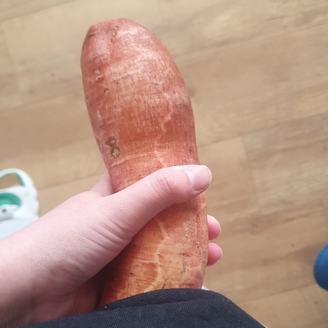 🔞WeirdCatHQ🏴󠁧󠁢󠁷󠁬󠁳󠁿 tweet media