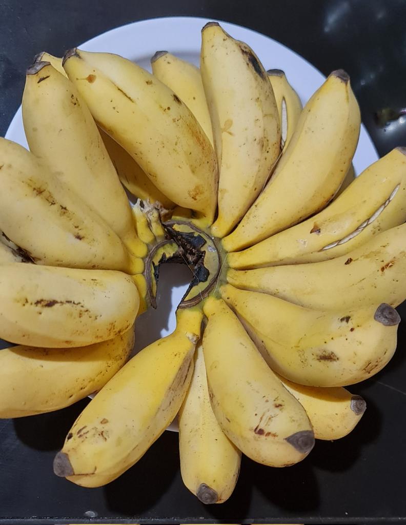 Legal Farmer🌽🥦 tweet media