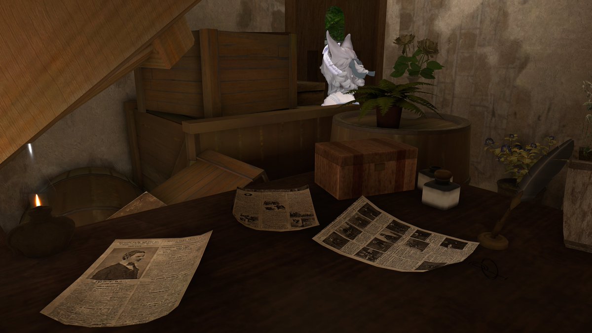 めるこちゃんVRC🍃🥜 tweet media