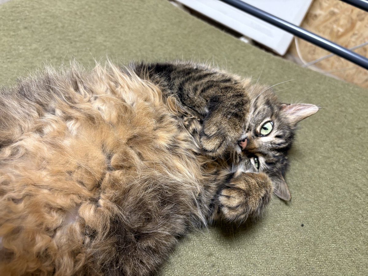 moments under stress tweet media