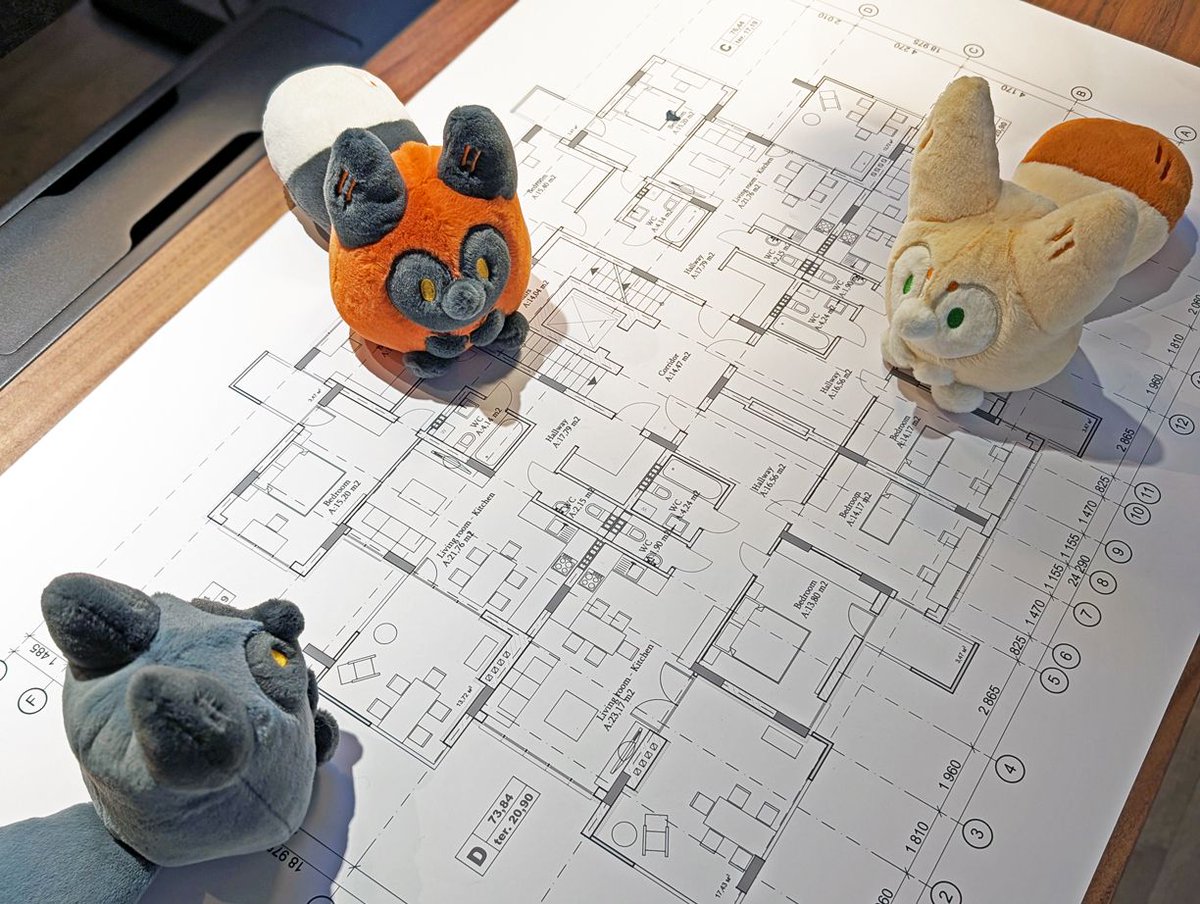 We're planning our super soft invasion!