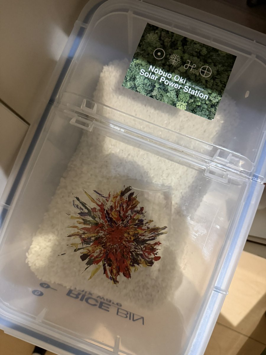 主任🎈🌈 tweet media