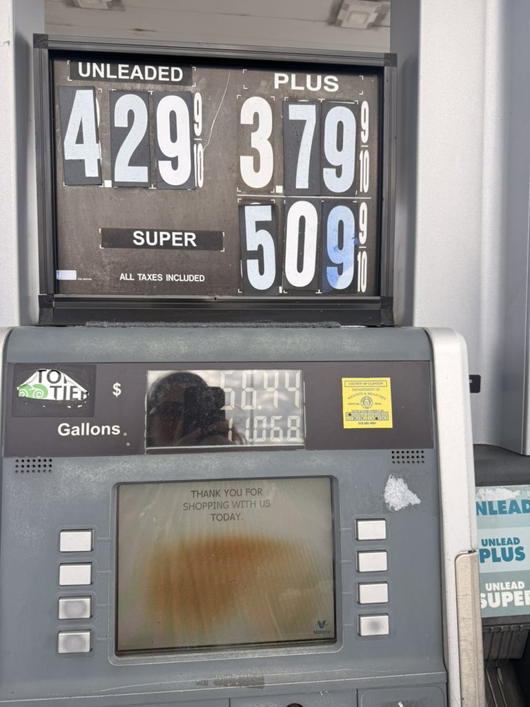 Daniela Cambone-Taub tweet media