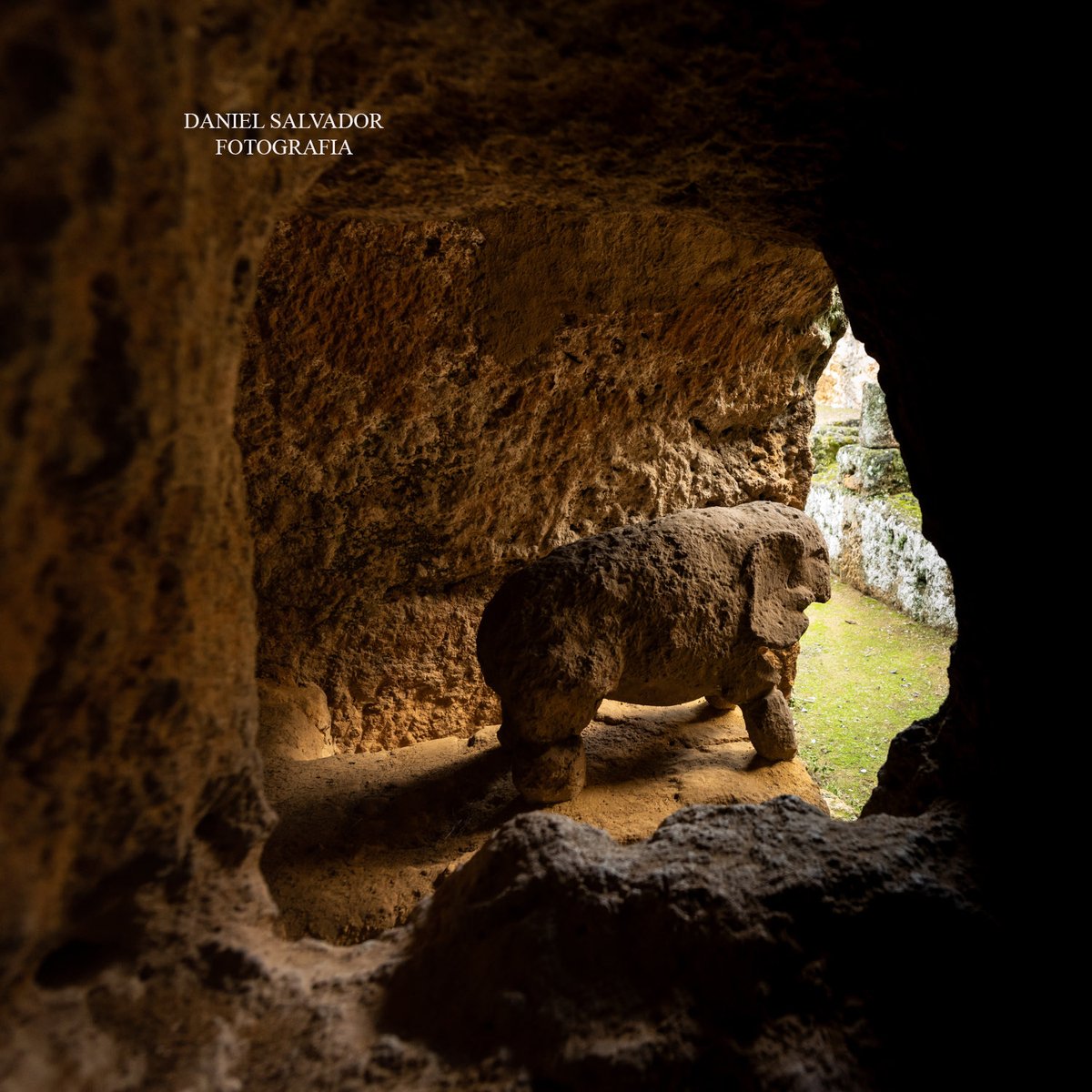 Daniel Salvador-Almeida González tweet media