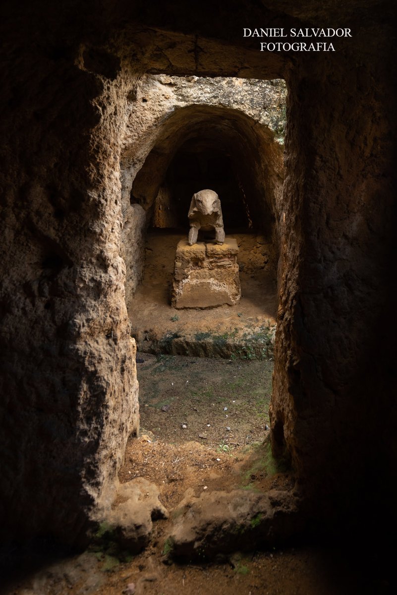 Daniel Salvador-Almeida González tweet media