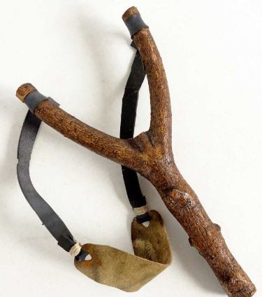 Liberta Cherguia 🇪🇺 tweet media