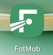 🇮🇪 tweet media