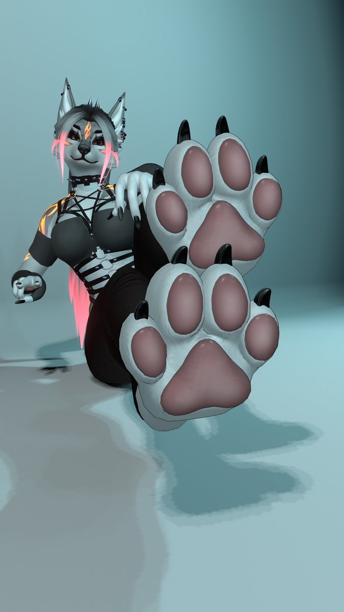 floating_bubbly's tweet photo. What would the first thing you would do when you see paws up close? https://t.co/Jc5gRzCo3J