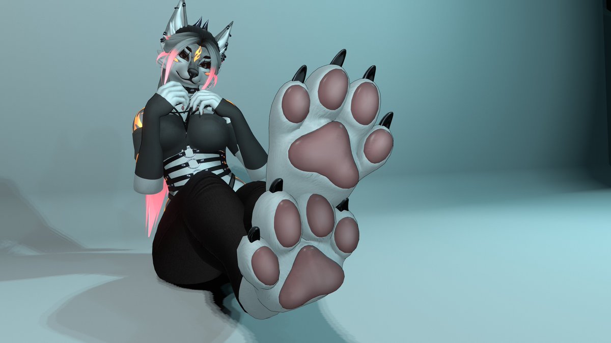 floating_bubbly's tweet photo. What would the first thing you would do when you see paws up close? https://t.co/Jc5gRzCo3J