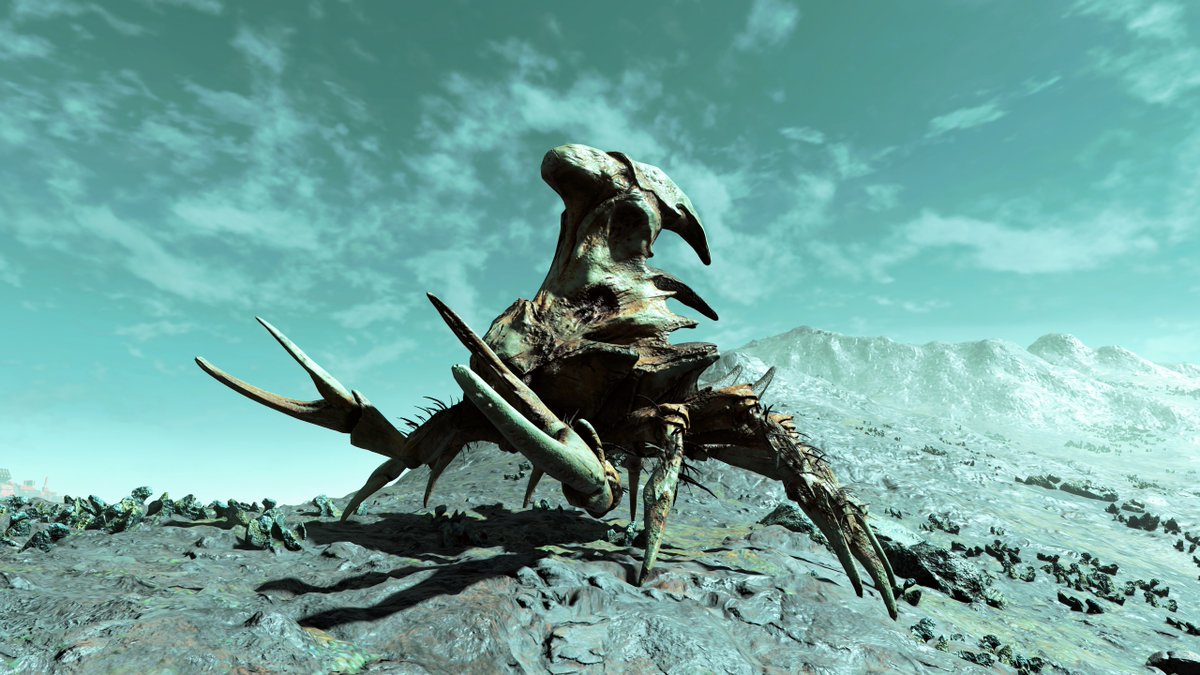 カワ王 tweet media