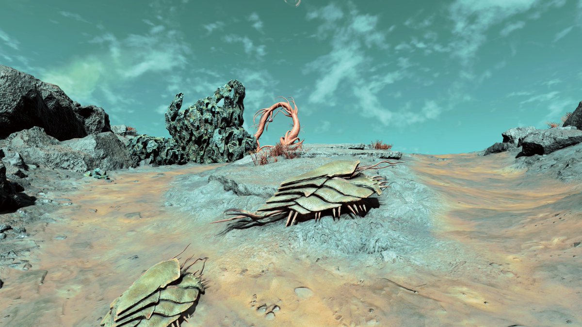 カワ王 tweet media