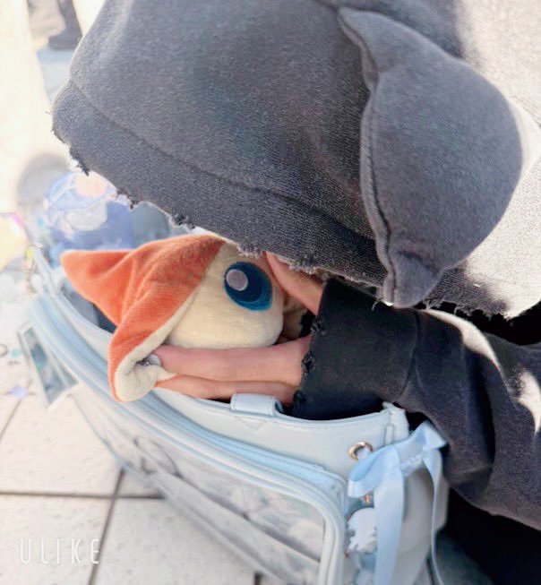 ふあ🕊 tweet media