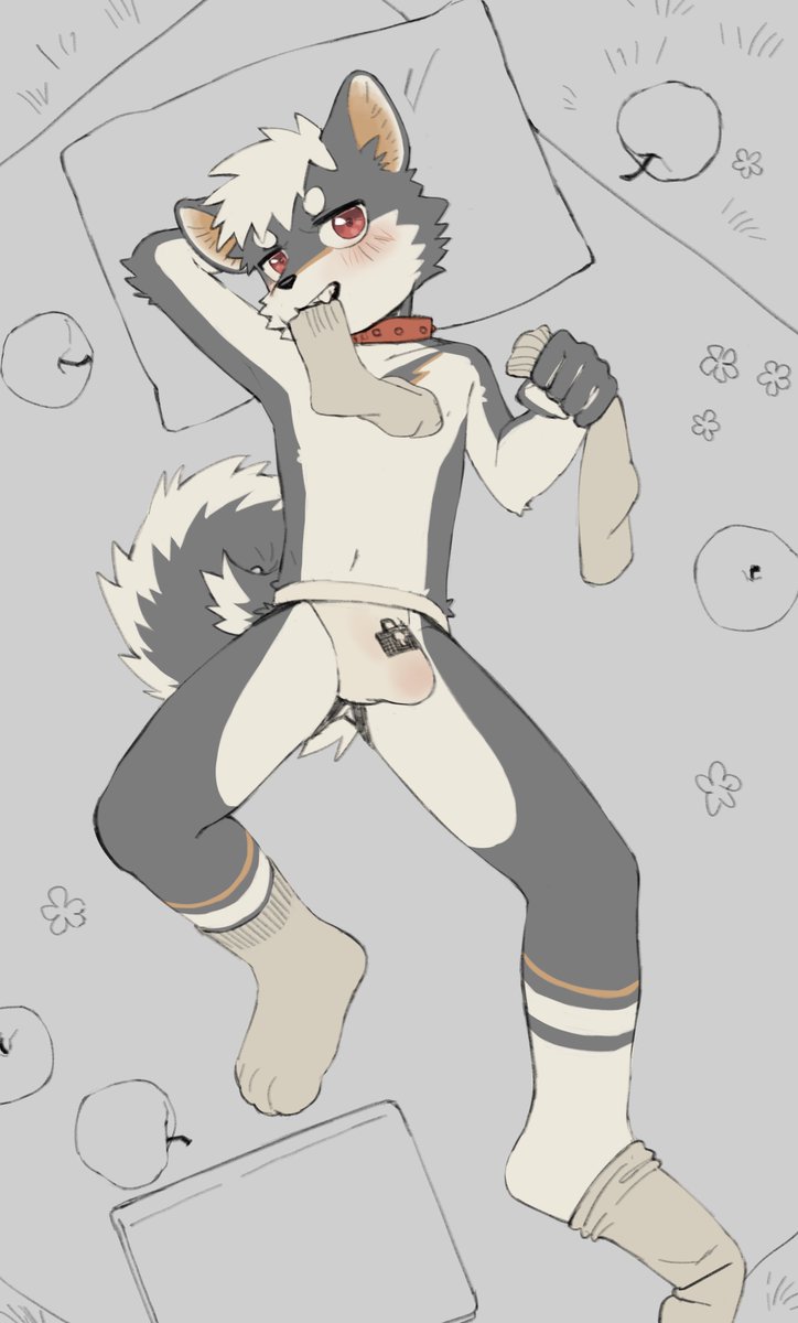 咖鹿繪機🔜Hi Furry tweet media