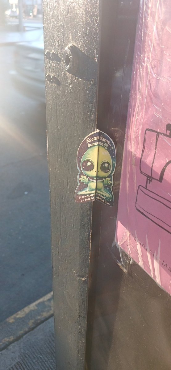 Haylen 👽🇦🇷 tweet media