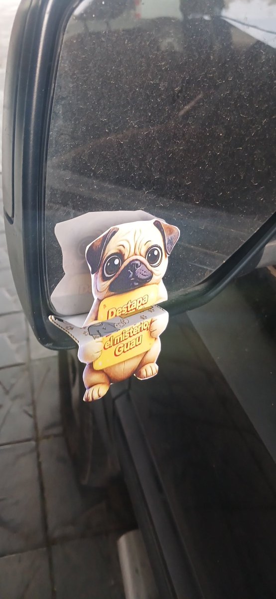 Haylen 👽🇦🇷 tweet media