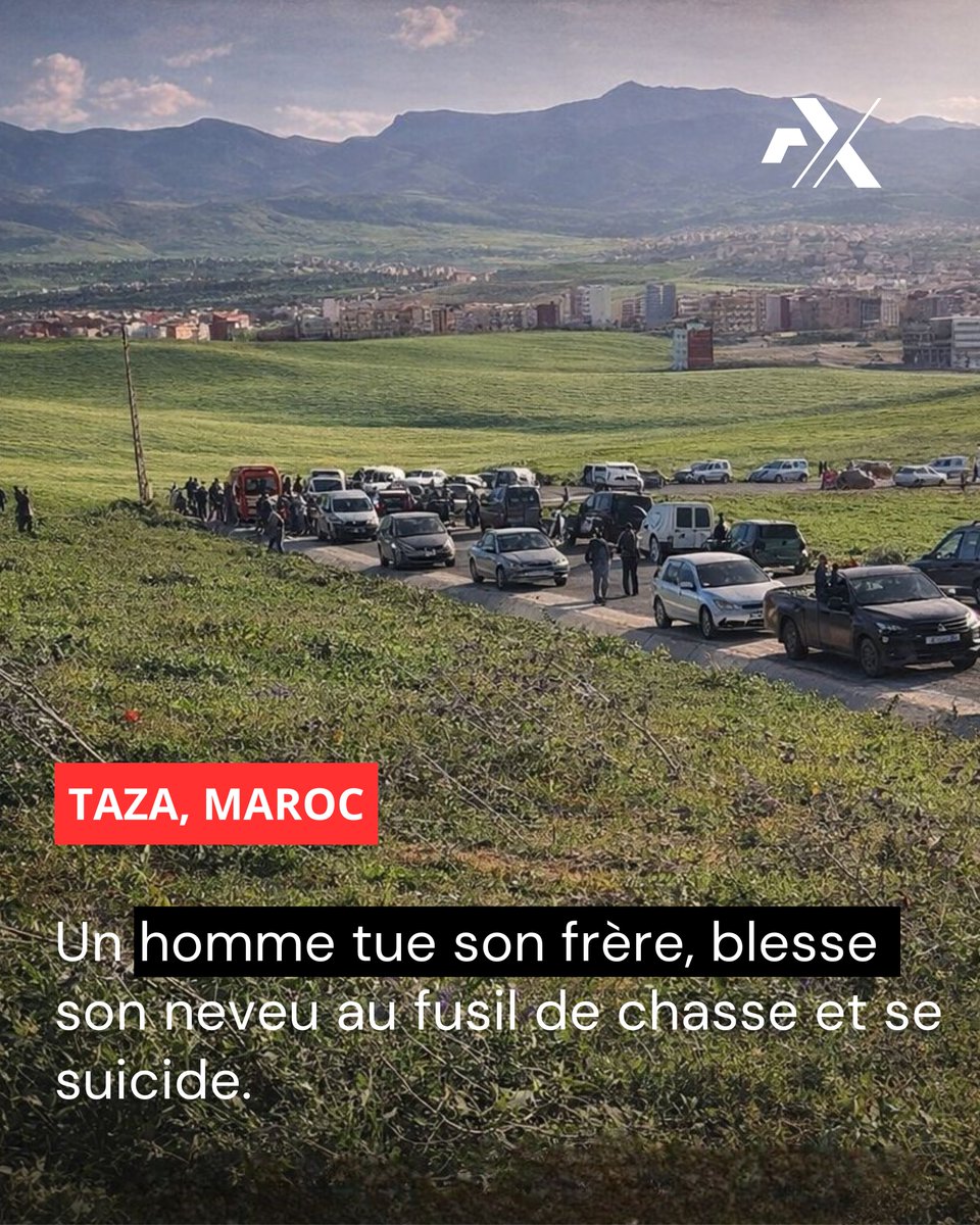 Direct Brut tweet media