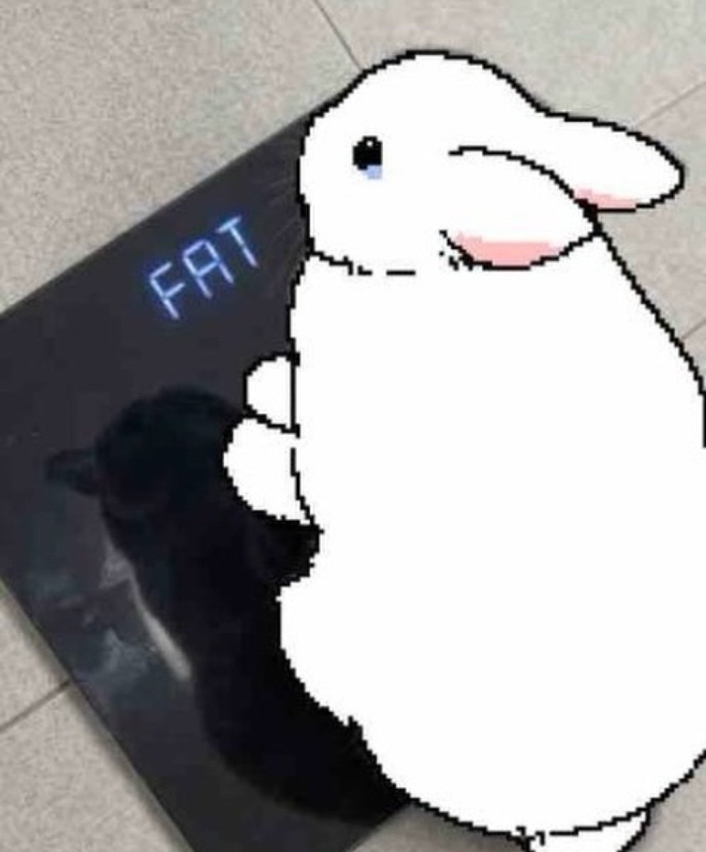 abby 🪶 tweet media