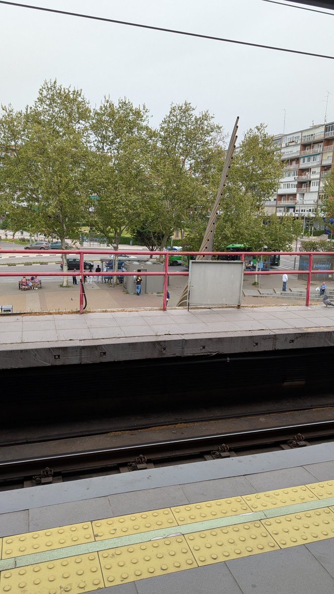 F. For Felipe tweet media