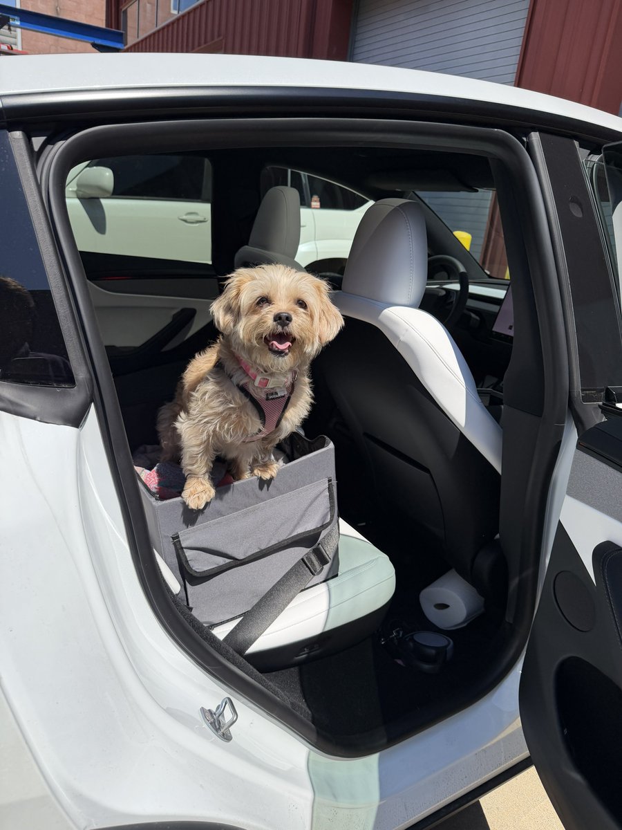 Kyle Conner tweet media