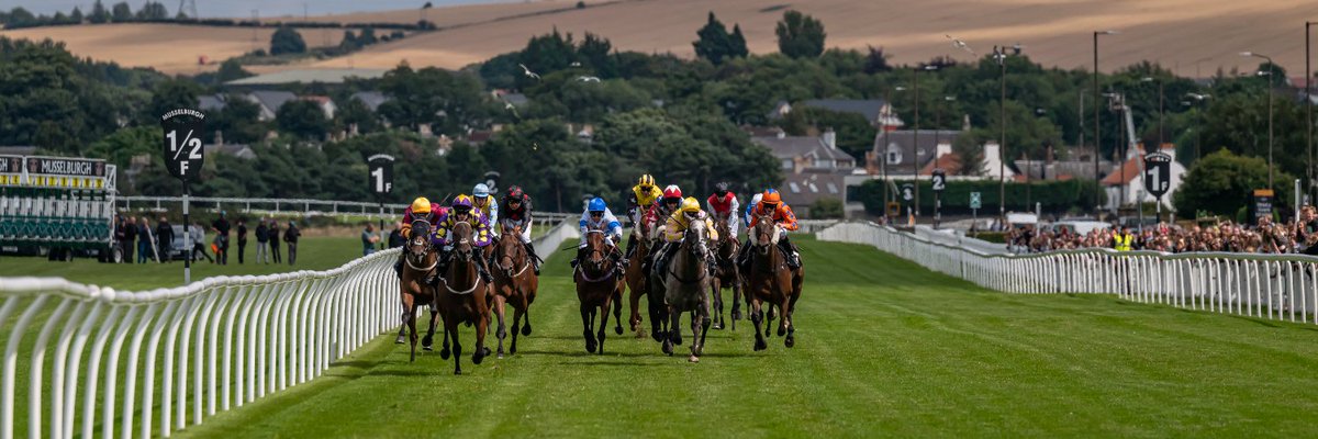 🐦Pigeon🐎Island🐦 tweet media