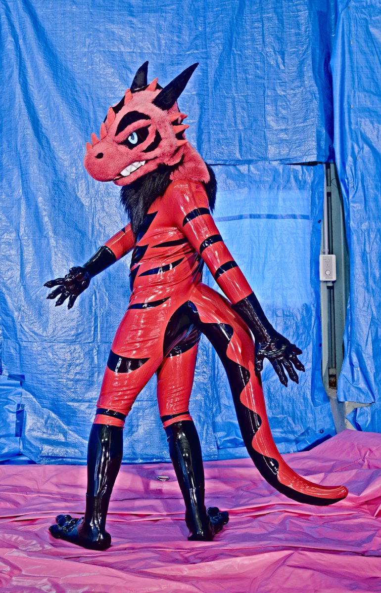 タク📸 tweet media