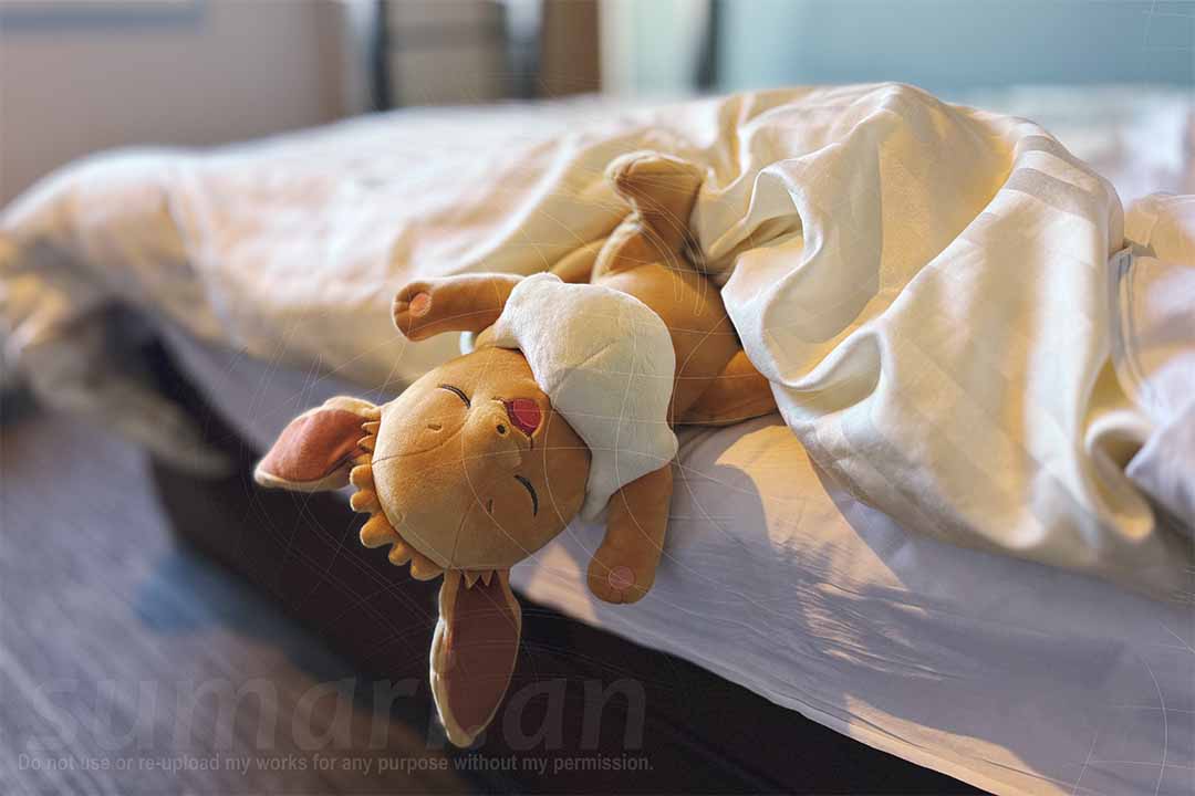 すまり庵@ぬいぐるみ写心家 tweet media