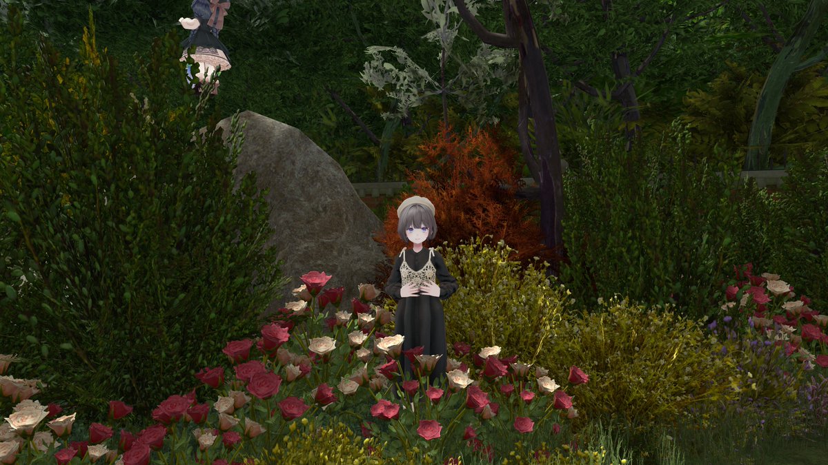 めるこちゃんVRC🍃🥜 tweet media