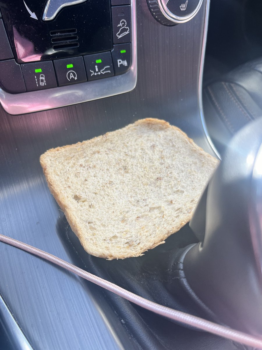 Taija Myyrä tweet media