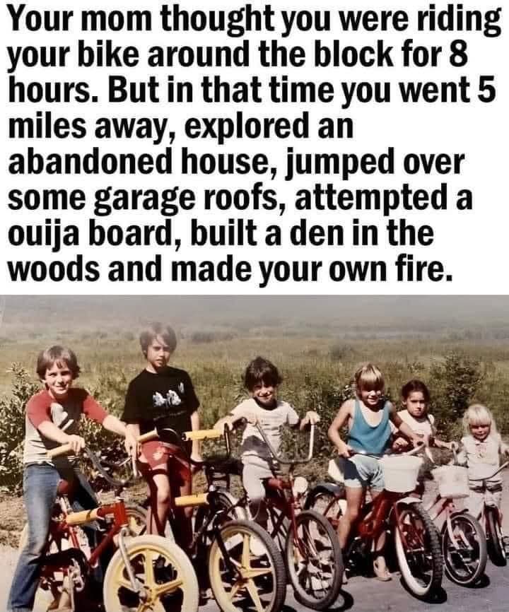 Webster (☥𝐃𝐁) tweet media