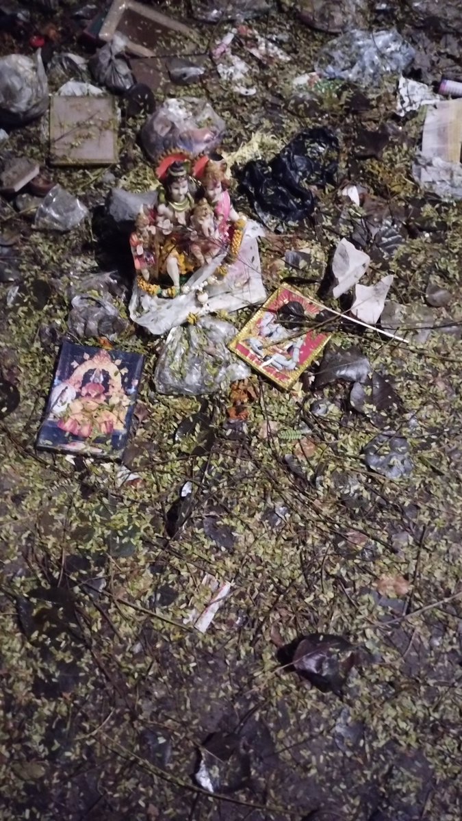 RadLib 🌐🗽 tweet media