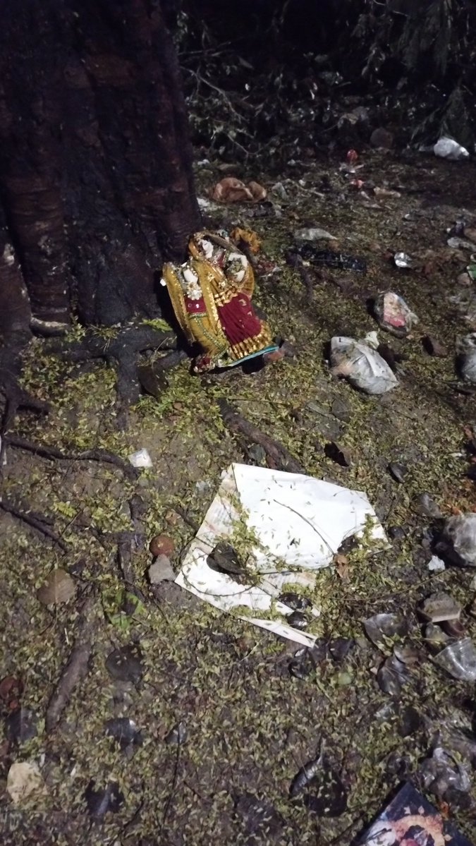 RadLib 🌐🗽 tweet media