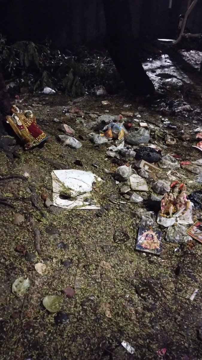 RadLib 🌐🗽 tweet media