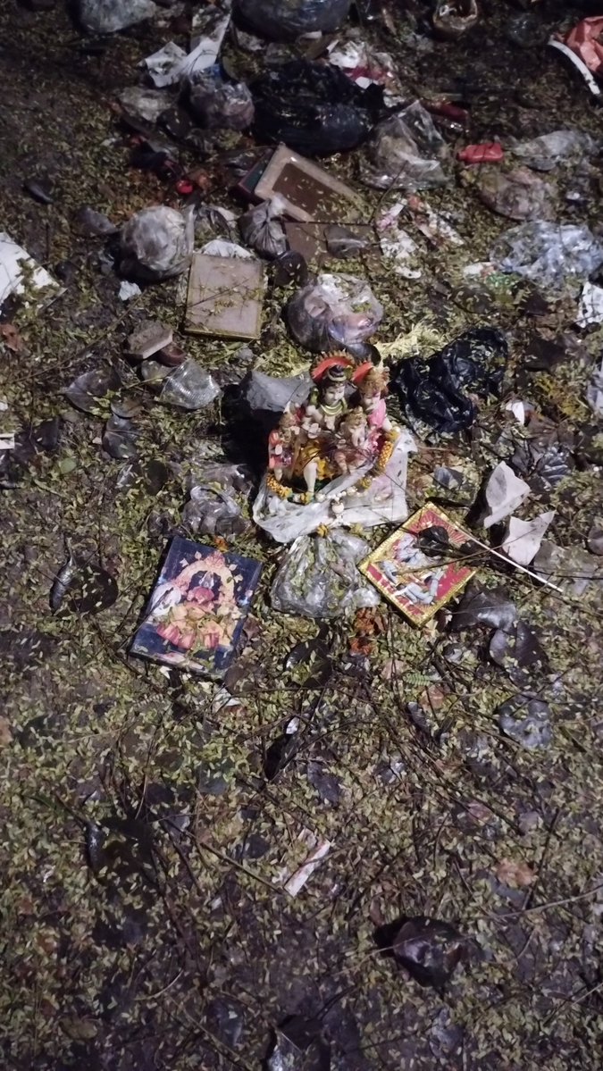 RadLib 🌐🗽 tweet media