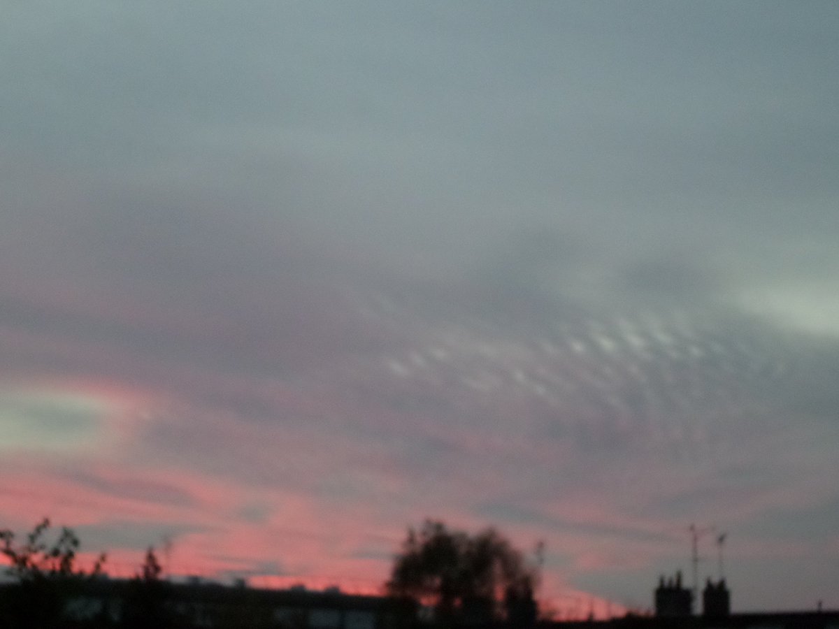 laury 🕊🦢 tweet media