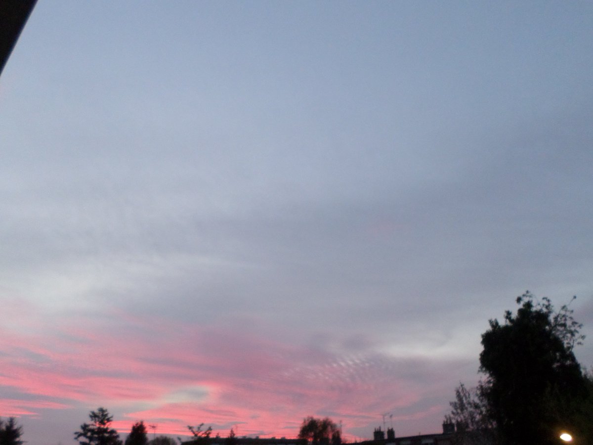 laury 🕊🦢 tweet media