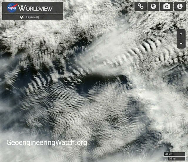 laury 🕊🦢 tweet media