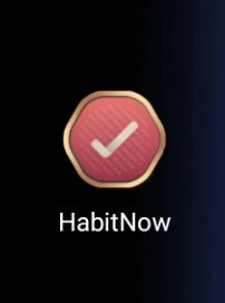 sheCodez tweet media